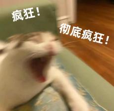 小布说天气 | 抛个硬币，如果粘在天花板上就不吃宵夜了~