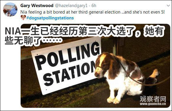 “猫狗大战”才是英国大选的正确打开方式哈哈哈