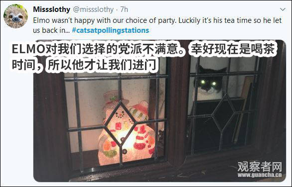“猫狗大战”才是英国大选的正确打开方式哈哈哈