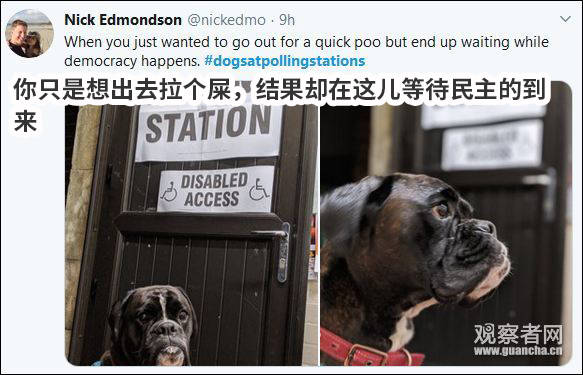 “猫狗大战”才是英国大选的正确打开方式哈哈哈