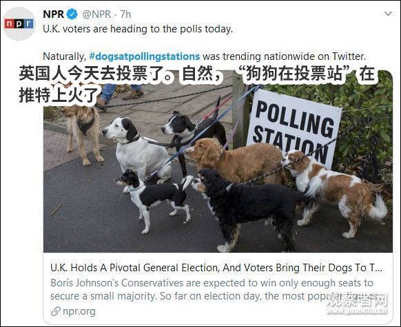 “猫狗大战”才是英国大选的正确打开方式哈哈哈