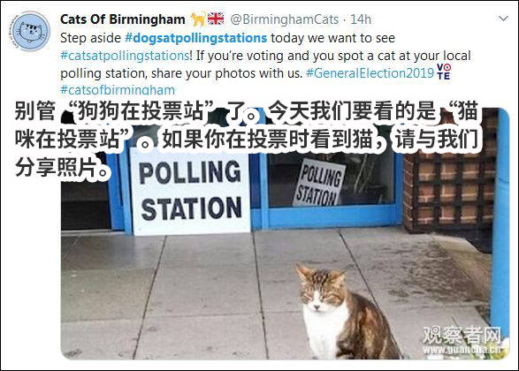 “猫狗大战”才是英国大选的正确打开方式哈哈哈
