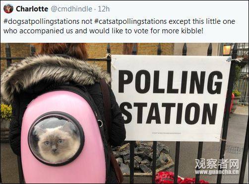 “猫狗大战”才是英国大选的正确打开方式哈哈哈