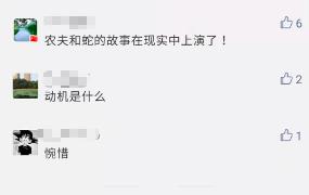 看哭！甘肃遇袭女医生最后的朋友圈，“期望未来一切顺顺顺”